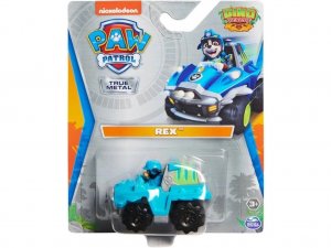 SPIN MASTER Autíčko Paw Patrol Rex True Metal Dino Rescue