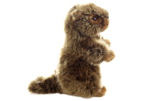 Plyš Koala